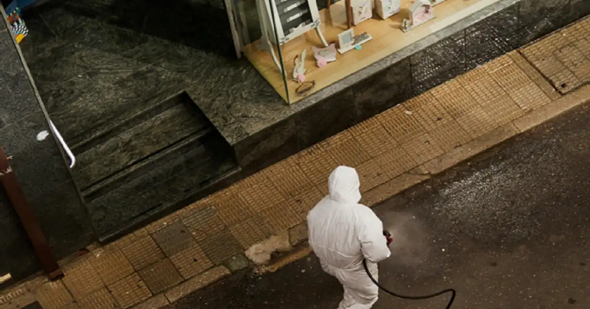 Modern Pest Control Solutions Every Homeowner Should Know