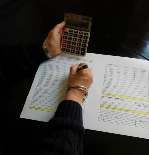 Tax Strategies, Offsets, and the Role of Reconciliation in Ventures